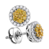 10kt White Gold Womens Round Yellow Color Enhanced Diamond Cluster Earrings 1/2 Cttw