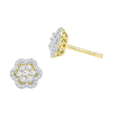10kt Yellow Gold Womens Round Diamond Flower Cluster Stud Earrings 1/2 Cttw